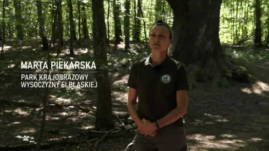 "Sekrety Wysoczyzny Elbląskiej" - Dąb Hoggo i "Ptasi Raj"