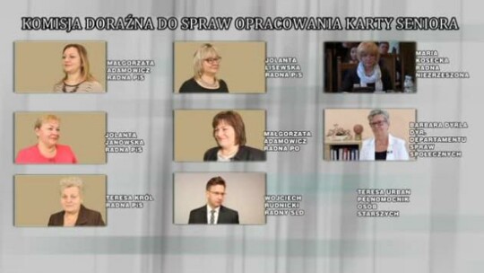 Skład komisji doraźnej 
