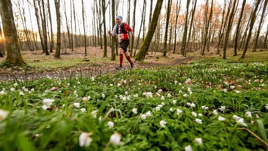 Sportowa wizytówka regionu. Meble Wójcik Ultra Wysoczyzna