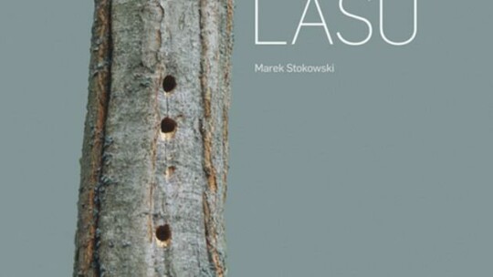 Spotkanie z Markiem Stokowskim