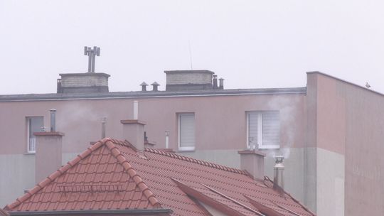 Straż Miejska i dron w akcji. W Elblągu ruszyły kontrole [WIDEO]