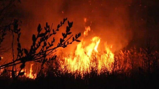 Strażacy przestrzegają