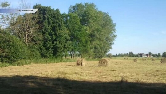 Tragiczny wypadek na polu