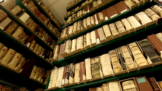 Tydzień Bibliotek 2025. Zobacz, co będzie się działo w Bibliotece Elbląskiej
