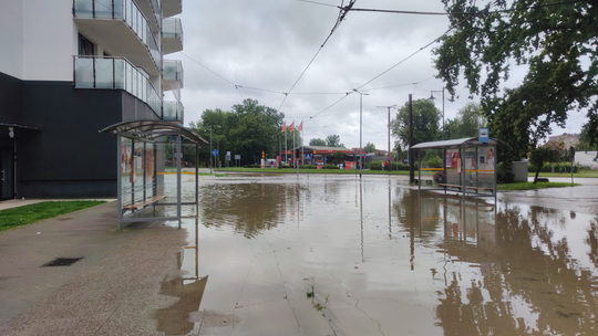 Tymczasowe zmiany w komunikacji w Elblągu