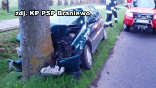 Uderzył w drzewo