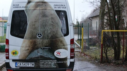 W braniewskim ZOO  nie ma już niedźwiedzi