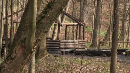 Wandale zniszczyli wiatę w Bażantarni