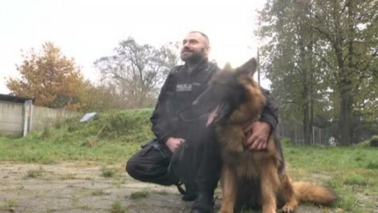 Wiadomości Truso.TV 07.11.2017