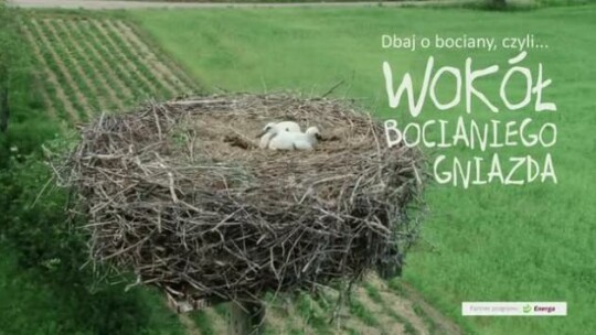 Wokół bocianiego gniazda