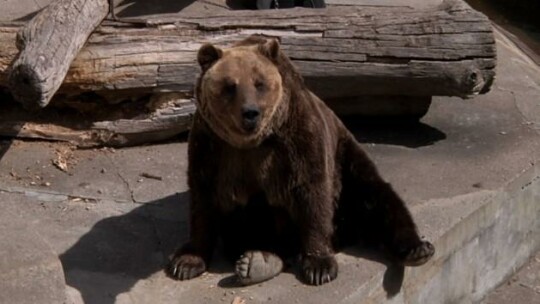 Wycieczka do braniewskiego ZOO 
