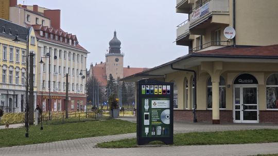 Za każdą tonę śmieci w Elblągu posadzone będzie jedno drzewo. To efekt zaangażowania mieszkańców