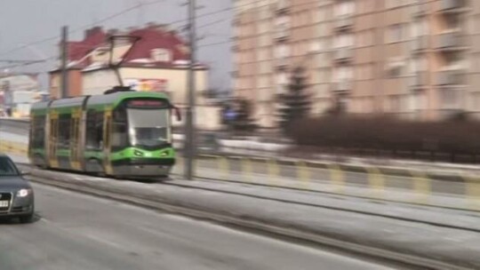 Zagłosuj na ogórka