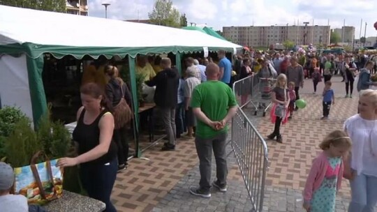 Zamień odpadki na kwiatki