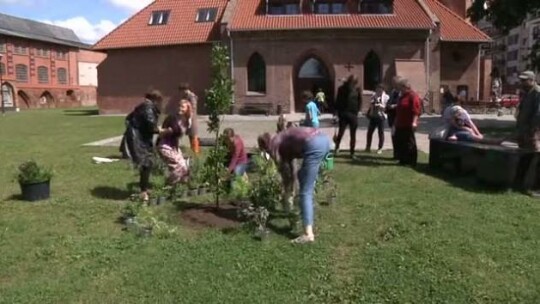 ziELBLĄG 