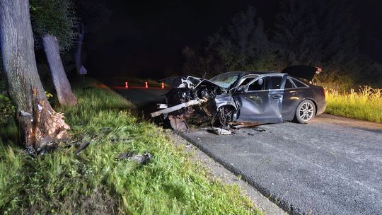 Zjechał z drogi i uderzył w drzewo