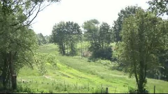 Zostają na Górze