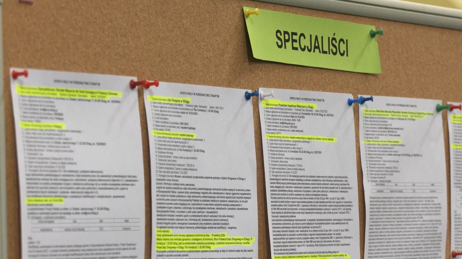 Jakie zawody są najbardziej poszukiwane w Elblągu? Najnowsze oferty pracy