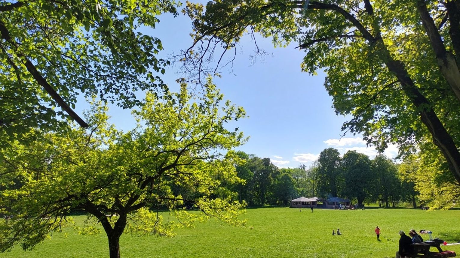 „W Krainie Buka”. Piknik Edukacyjny w Bażantarni