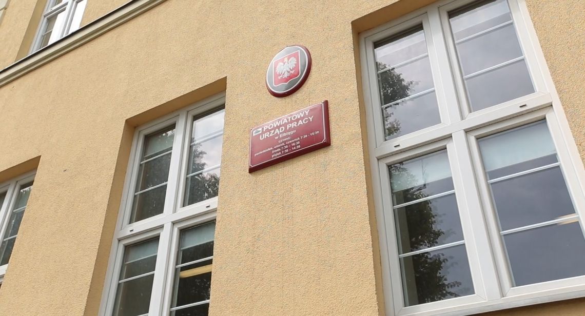 Aktualne oferty pracy [20.06.2024]