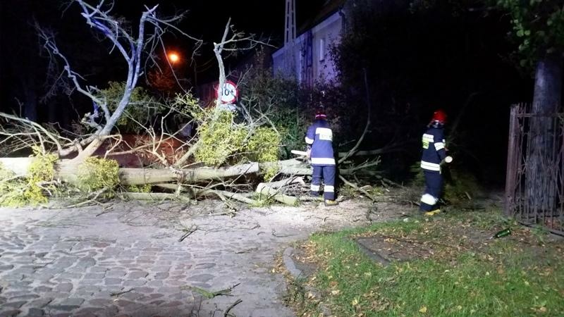 Braniewo: Ostrzeżenie przed silnym wiatrem