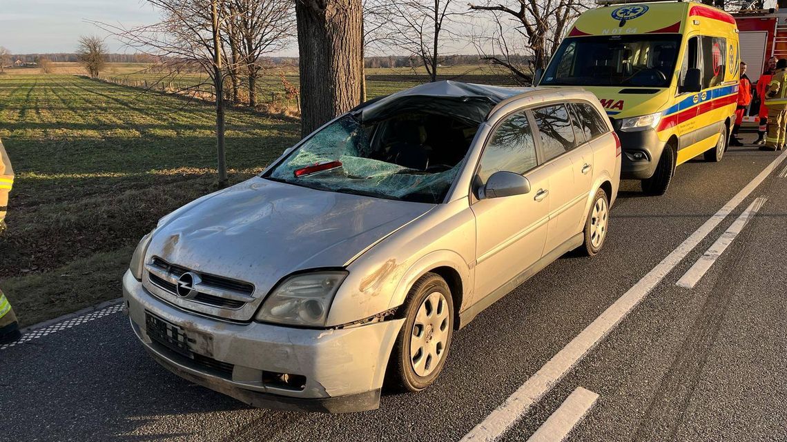 Opel zderzył się z łosiem