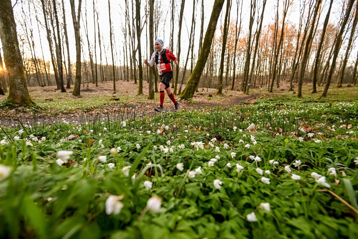 Sportowa wizytówka regionu. Meble Wójcik Ultra Wysoczyzna