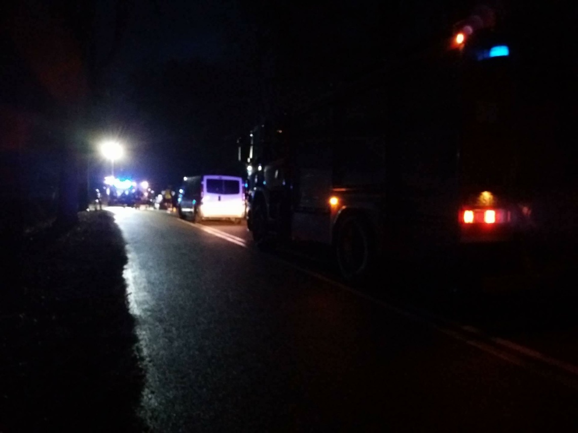 Z OSTATNIEJ CHWILI: Śmiertelny wypadek na drodze do Tolkmicka Z OSTATNIEJ CHWILI: Śmiertelny wypadek na drodze do Tolkmicka