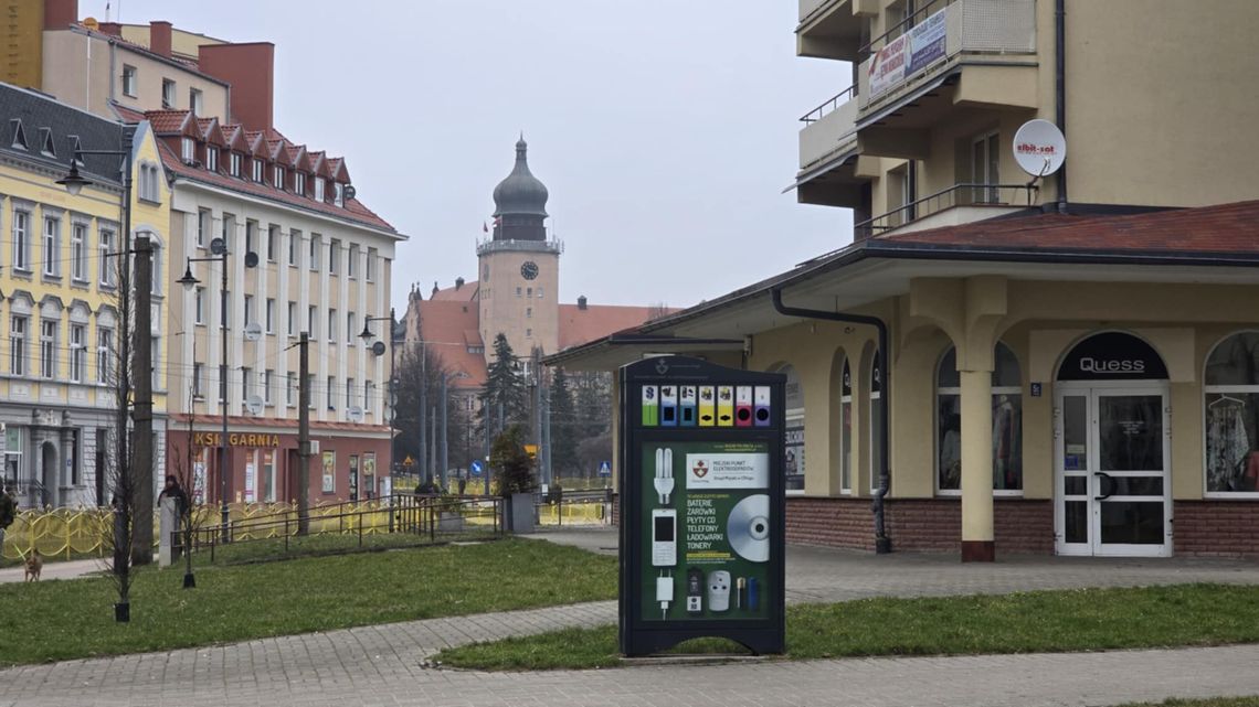 Za każdą tonę śmieci w Elblągu posadzone będzie jedno drzewo. To efekt zaangażowania mieszkańców